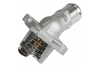 VALVULA TERMOSTATICA 25205818